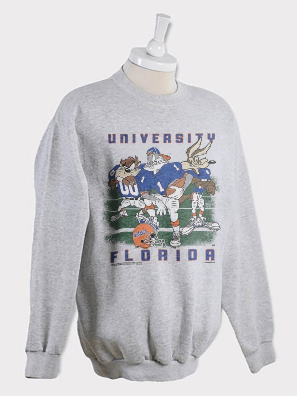 Vintage University of Florida Gators Looney Tunes Football Sweatshirt, NCAA Tee